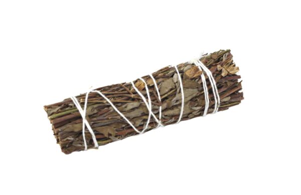 Smudge Stick - Sauge des Montagnes 10 cm- Vendu par 1