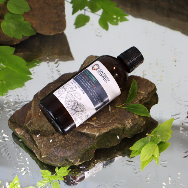 Hydrolat de Menthe Poivrée 100ml- Vendu par 1 – Image 2