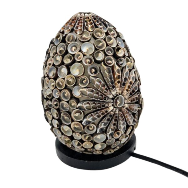 Lampe Coquillage Boho - Ovale Torsadé Chocolat - 15 cm- Vendu par 1 – Image 2