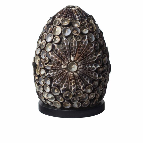 Lampe Coquillage Boho - Ovale Torsadé Chocolat - 15 cm- Vendu par 1
