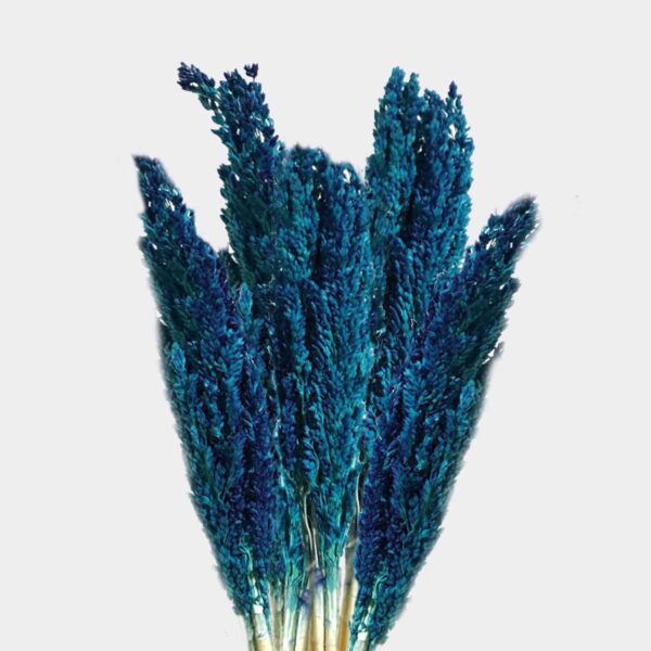 Bouquet d'herbes du Cantal - Bleu- Vendu par 6 – Image 2