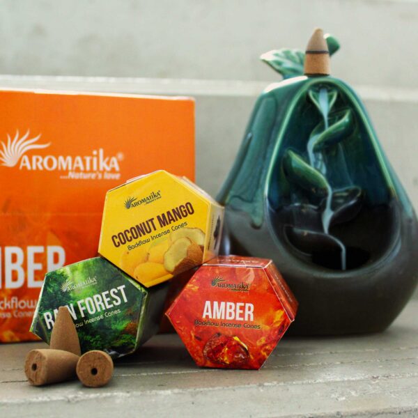 Encens Masala Backflow pack de 10 - Bois de Santal & Vanille- Vendu par 1 – Image 2