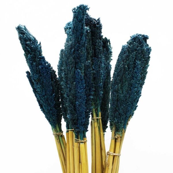 Bouquet d'herbes du Cantal - Bleu- Vendu par 6