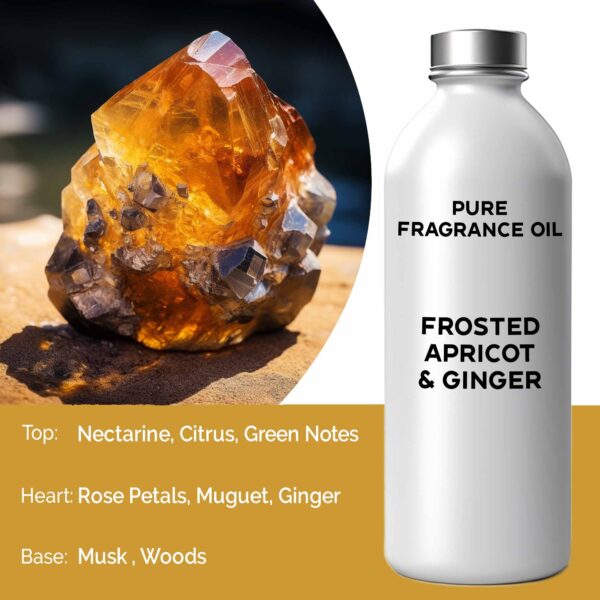 500ml (Pure) FO - Abricot & Gingembre Givrés- Vendu par 1