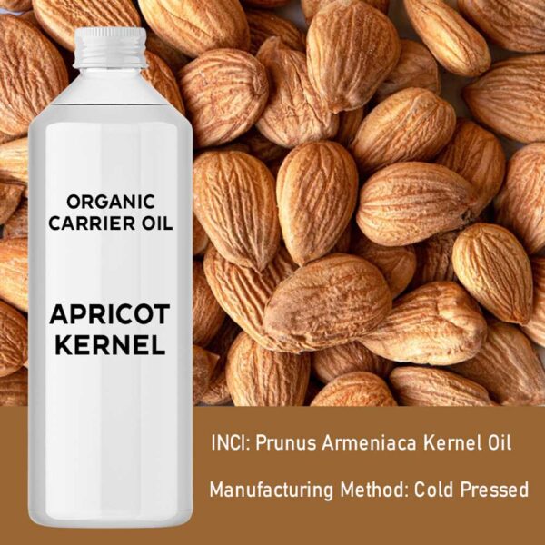 Huile de Noyaux d'Abricot Bio 1 Litre- Vendu par 1