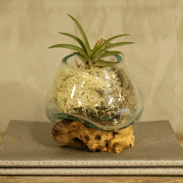 Verre à fondue sur bois - Petit bol- Vendu par 1 – Image 4