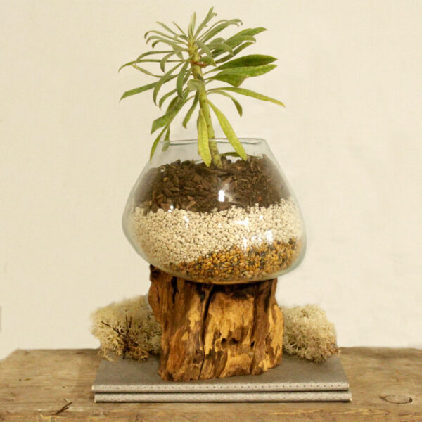Verre à fondue sur bois - Grand Bol- Vendu par 1 – Image 4