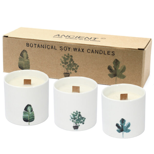 Grandes Bougies Botaniques - Violette des Marais- Vendu par 3