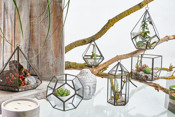 Terrarium en Verre - Cube sur Coin- Vendu par 1 – Image 4