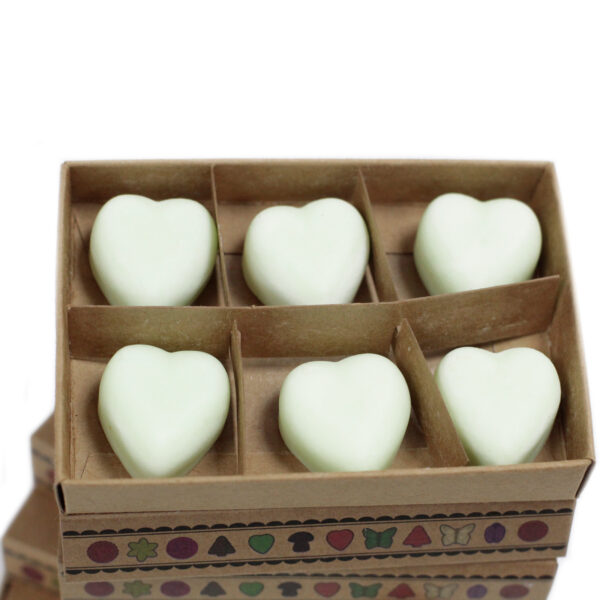 Coffret cadeau de 6 cires à fondues - Apple Spice- Vendu par 1 – Image 3