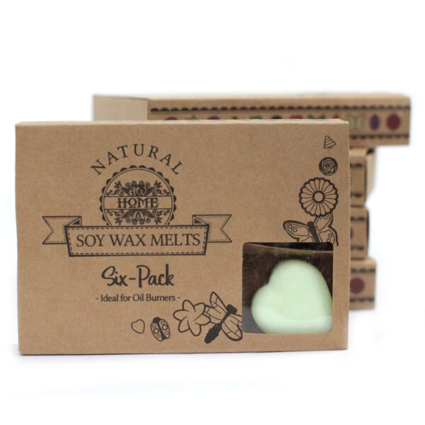 Coffret cadeau de 6 cires à fondues - Apple Spice- Vendu par 1