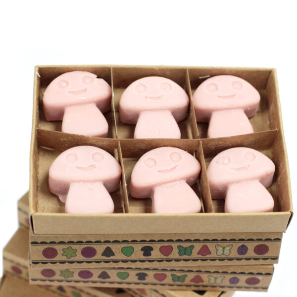 Coffret cadeau de 6 cires fondantes - Coffee Trader- Vendu par 1 – Image 2