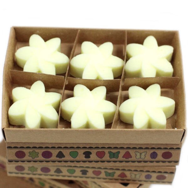 Coffret cadeau de 6 cires fondues - Récolte de citron- Vendu par 1 – Image 2