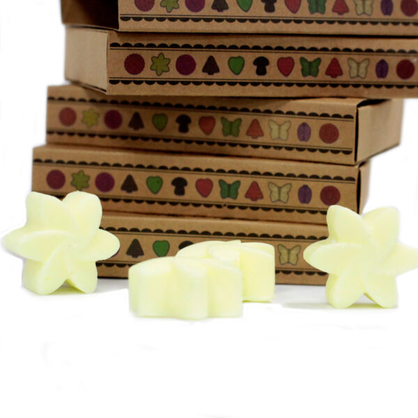 Coffret cadeau de 6 cires fondues - Récolte de citron- Vendu par 1 – Image 4