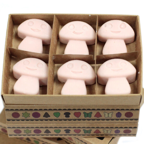 Coffret cadeau de 6 cires fondues - Vieux Gingembre- Vendu par 1 – Image 2