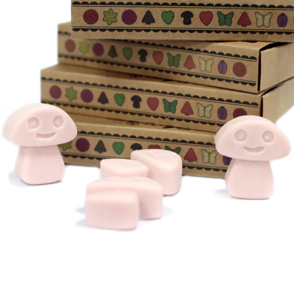 Coffret cadeau de 6 cires fondues - Vieux Gingembre- Vendu par 1 – Image 3