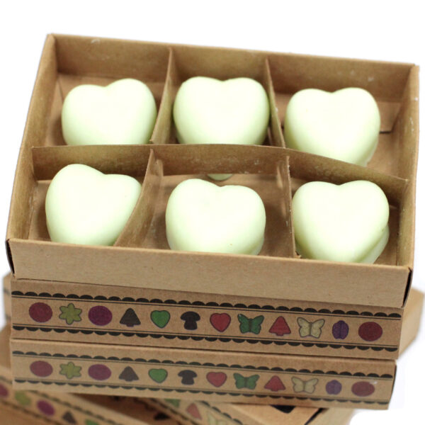 Coffret cadeau de 6 cires à fondues - Pastèque fraîche- Vendu par 1 – Image 2