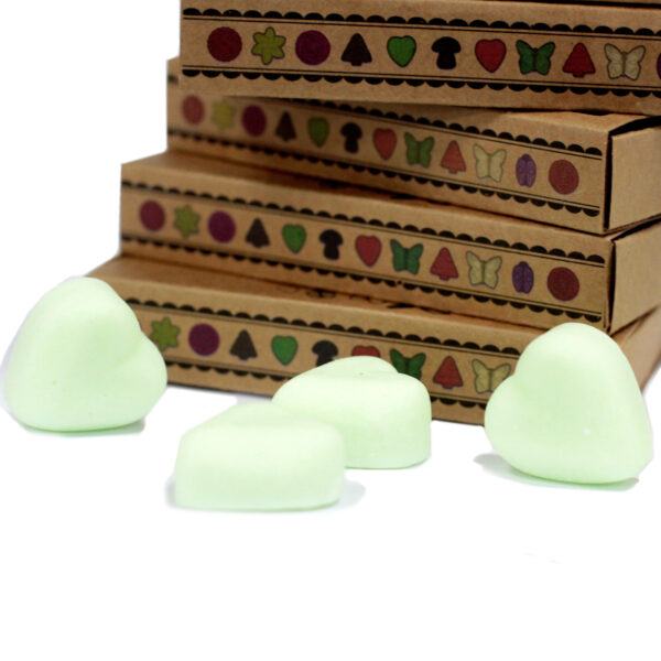 Coffret cadeau de 6 cires à fondues - Pastèque fraîche- Vendu par 1 – Image 3
