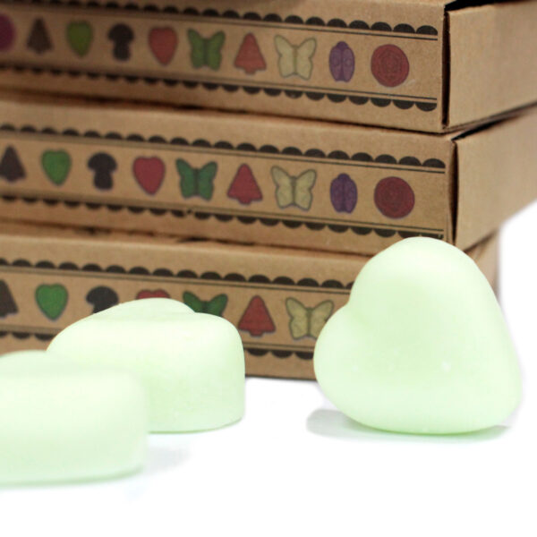 Coffret cadeau de 6 cires à fondues - Pastèque fraîche- Vendu par 1 – Image 4