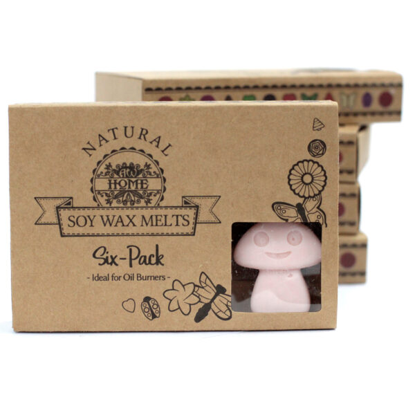 Coffret cadeau de 6 cires à fondues - Bois de santal foncé- Vendu par 1
