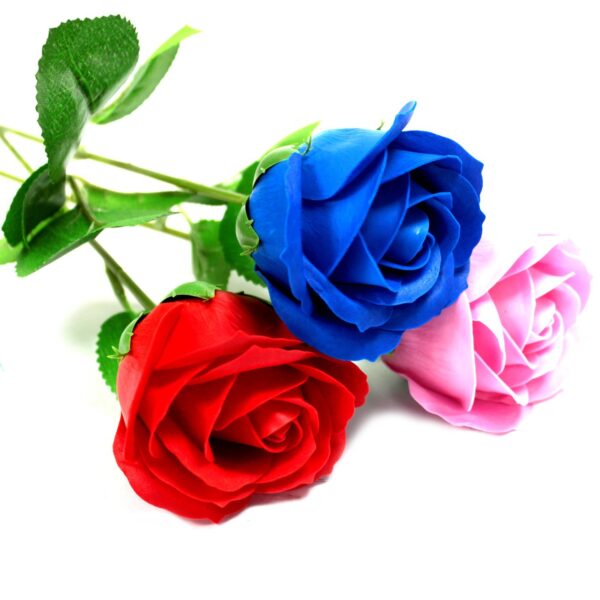 Rose simple - Rose rose- Vendu par 1 – Image 2