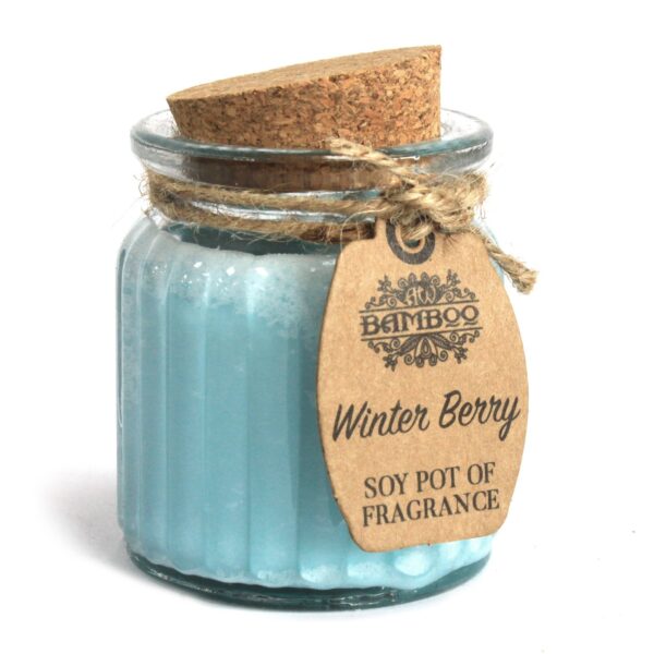 Pot de bougies parfumées aux baies d'hiver et au soja- Vendu par 1