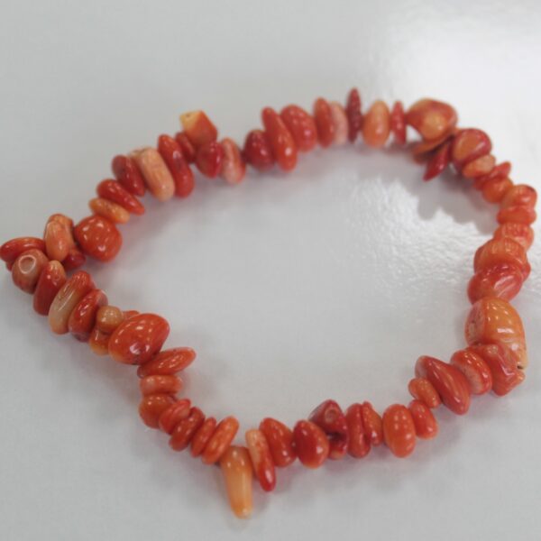 Bracelet Chipstone - Pierre de Coralite- Vendu par 1