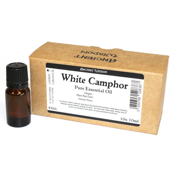 Étiquette sans marque d'huile essentielle de camphre blanc 10 ml- Vendu par 1