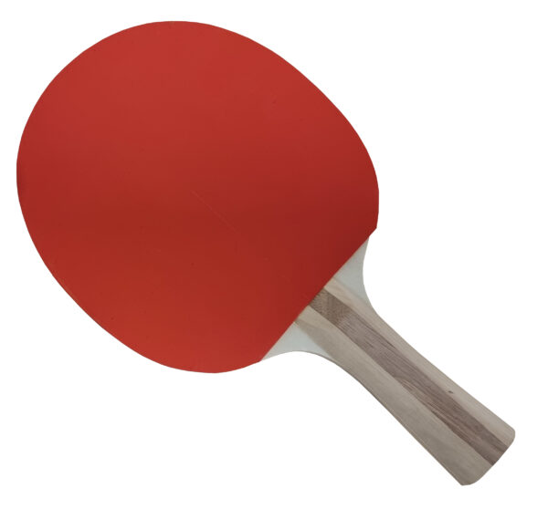 Raquette de tennis de table Charlsten modèle classe moyenne – Image 2