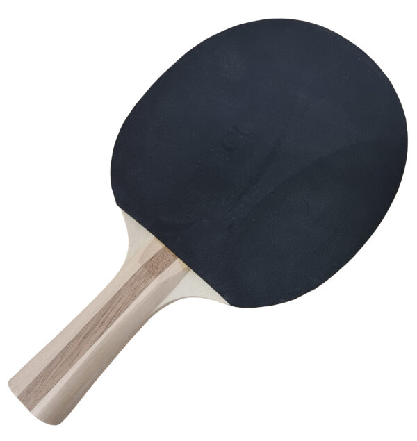 Raquette de tennis de table Charlsten modèle classe moyenne