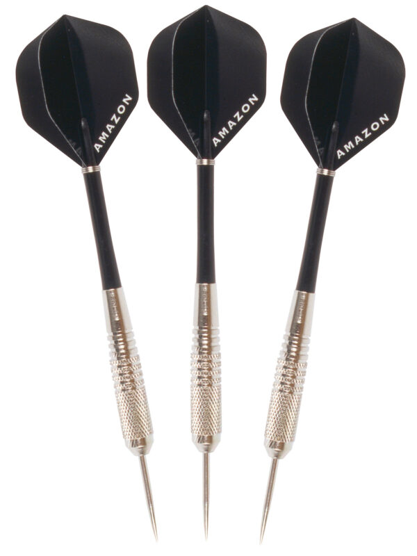 Fléchettes en acier Roleo R-1 21g