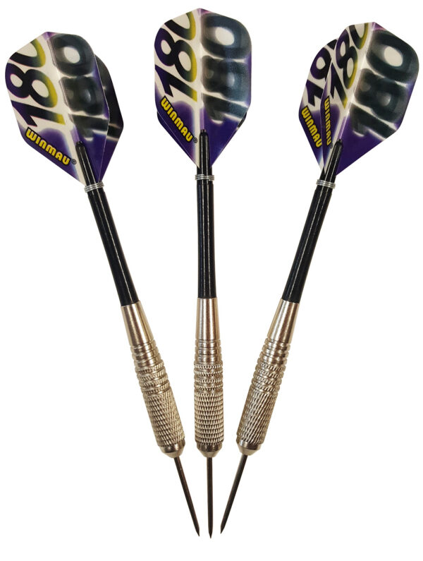 Fléchettes en acier Roleo R-3 19g