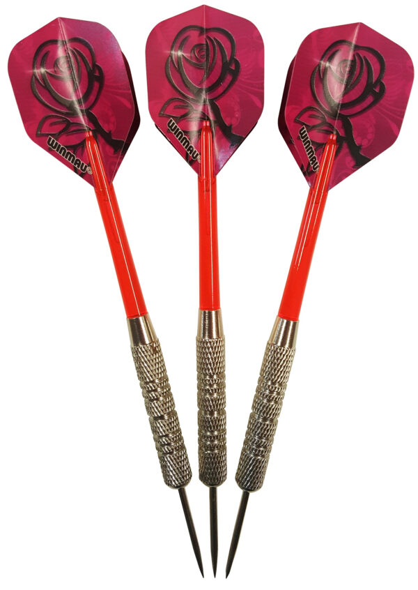 Fléchettes en acier Roleo R-4 17g