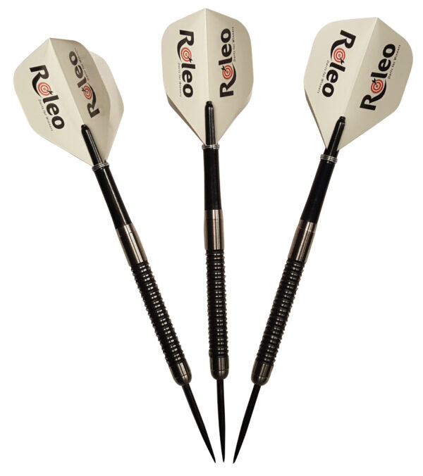 Fléchettes en acier Roleo Professional 22g