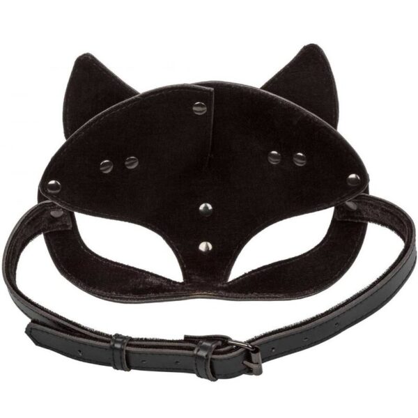 CALEXOTICS - EUPHORIA MASQUE DE CHAT - – Image 6