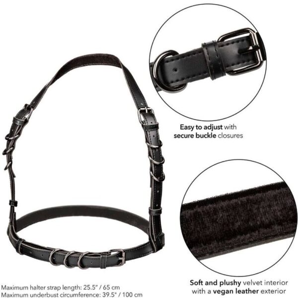 CALEXOTICS - EUPHORIA HARNAIS BOUCLE LICOL NOIR - – Image 5