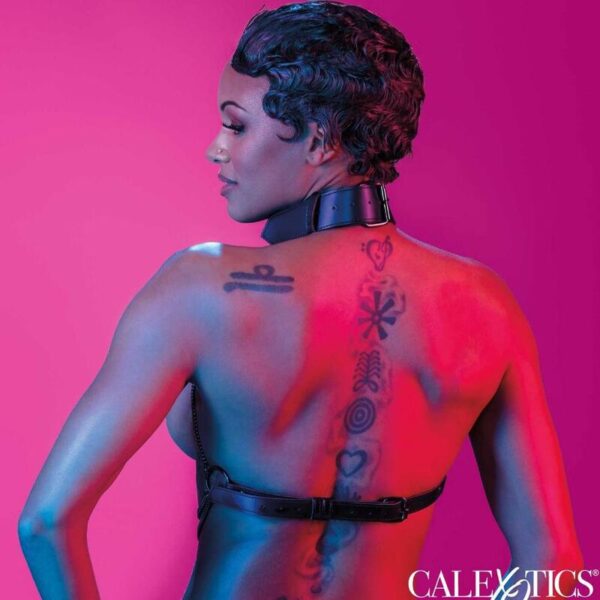 CALEXOTICS - EUPHORIA HARNAIS COLLIER MULTI CHAÎNES - – Image 6