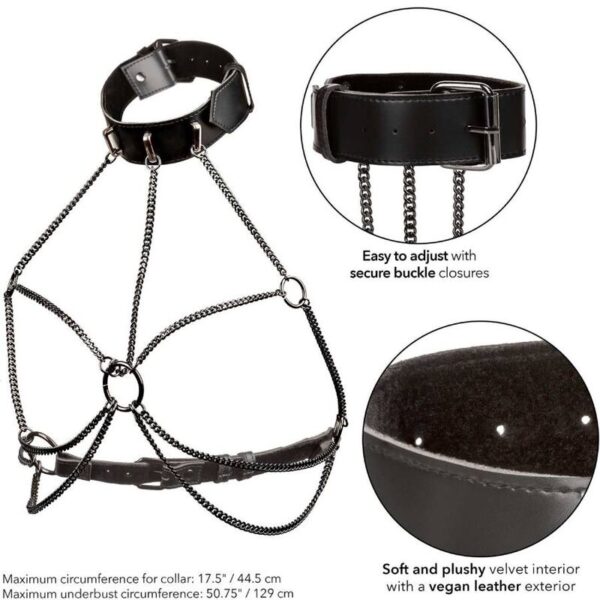 CALEXOTICS - EUPHORIA HARNAIS COLLIER MULTI CHAÎNES TAILLE PLUS - – Image 5