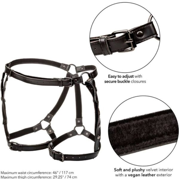 CALEXOTICS - EUPHORIA HARNAIS DE CUISSE DÉQUITATION TAILLE PLUS - – Image 5