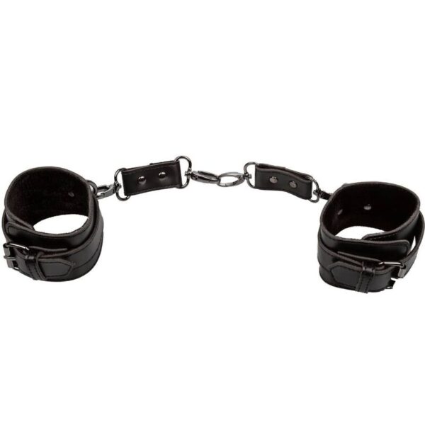 CALEXOTICS - EUPHORIA MENOTTES - – Image 4