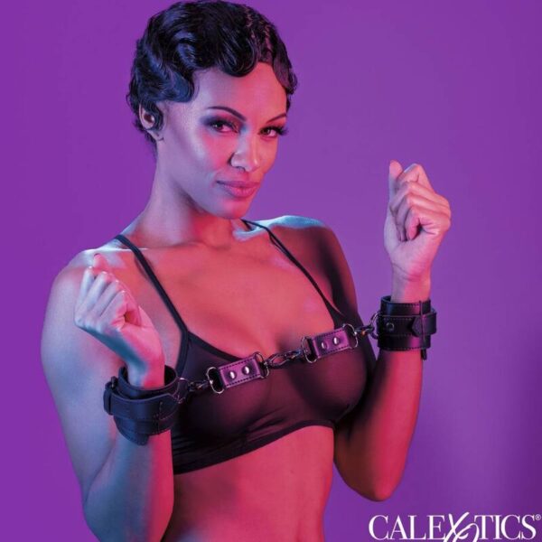CALEXOTICS - EUPHORIA MENOTTES -
