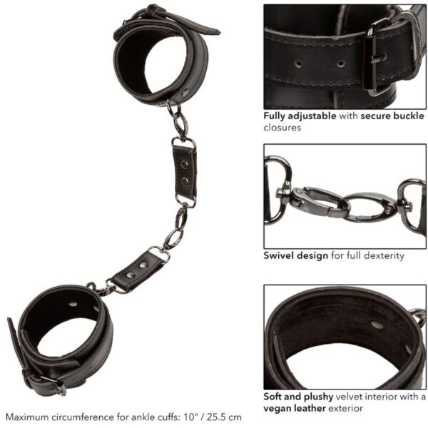 CALEXOTICS - EUPHORIA MANCHETTES DE CHEVILLE - – Image 7