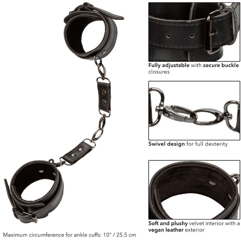 CALEXOTICS - EUPHORIA MANCHETTES DE CHEVILLE - – Image 7