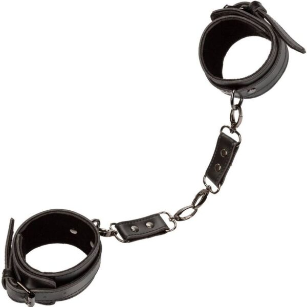 CALEXOTICS - EUPHORIA MANCHETTES DE CHEVILLE - – Image 5