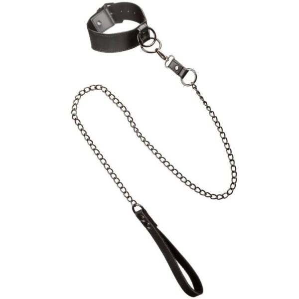 CALEXOTICS - EUPHORIA COLLIER AVEC LAISSE CHAÎNE - – Image 5
