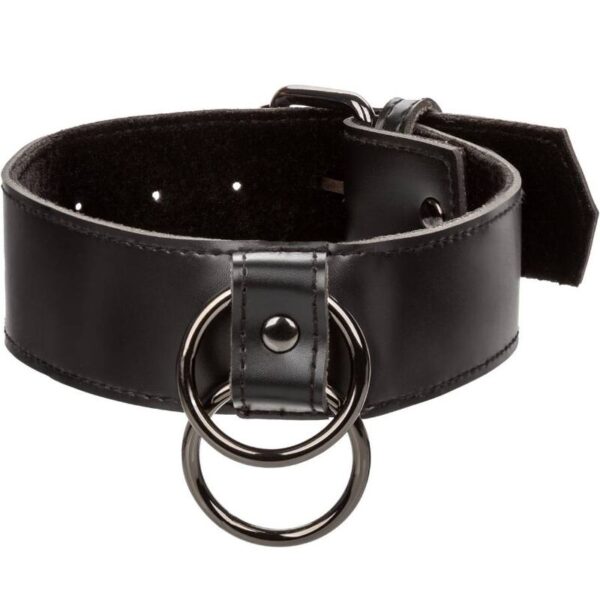 CALEXOTICS - EUPHORIA COLLIER AVEC LAISSE CHAÎNE - – Image 7