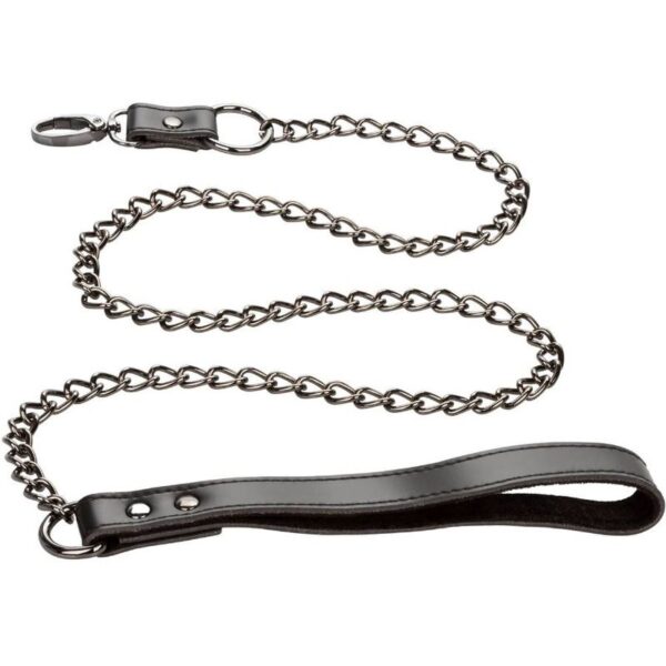 CALEXOTICS - EUPHORIA COLLIER AVEC LAISSE CHAÎNE - – Image 4