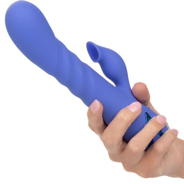 CALEXOTICS - VIBRATEUR & SUCKER LA LOVE BLEU PAR CALIFORNIA DREAMING -