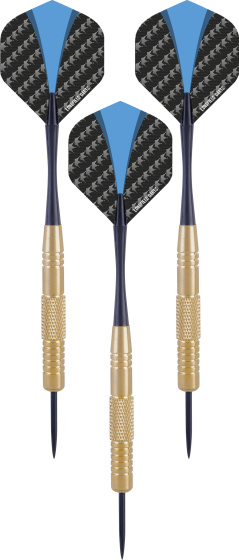 Darts Jeu de fléchettes Steeltip 22 grammes Or/Bleu 3 pièces - Longfield Games – Image 11