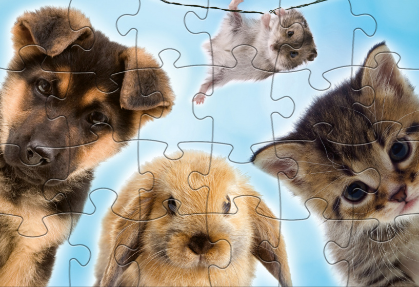 Puzzles Babydieren puzzle junior 24/24 pièces - Rebo Productions – Image 8